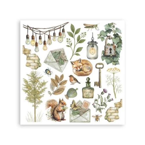 Stamperia Herbarium Silvae Rub-On 6,1x6,1 Inch Assortment (6pcs) (DFLRBX02)