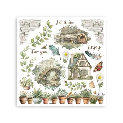 Stamperia Herbarium Silvae Rub-On 6,1x6,1 Inch Assortment (6pcs) (DFLRBX02)