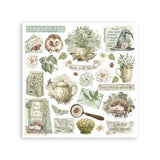 Stamperia Herbarium Silvae Rub-On 6,1x6,1 Inch Assortment (6pcs) (DFLRBX02)