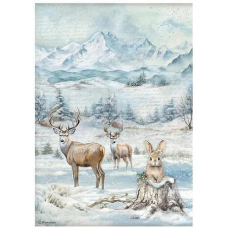 Stamperia The Owl's House A4 Rice Paper Selection (6pcs) (DFSA4XOH)