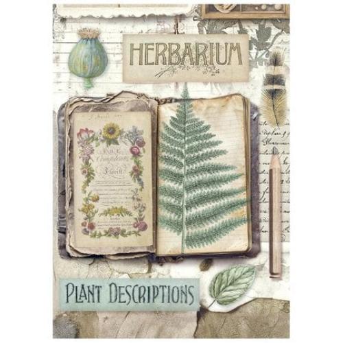Stamperia Herbarium Silvae A6 Mini Rice Paper (8pcs) (DFSA6X02)