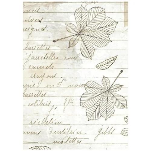Stamperia Herbarium Silvae A6 Rice Paper Backgrounds (8pcs) (DFSAK6048)