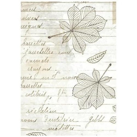 Stamperia Herbarium Silvae A6 Rice Paper Backgrounds (8pcs) (DFSAK6048)