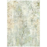 Stamperia Herbarium Silvae A6 Rice Paper Backgrounds (8pcs) (DFSAK6048)