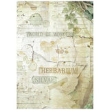 Stamperia Herbarium Silvae A6 Rice Paper Backgrounds (8pcs) (DFSAK6048)