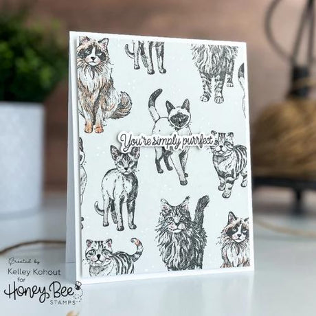 Honey Bee Stamps - Paws & Purrs - Coordinating Honey Cuts