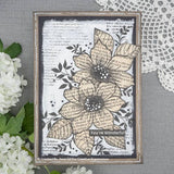 Woodware Jane Gill Text Background 4 in x 6 in Clear Stamp