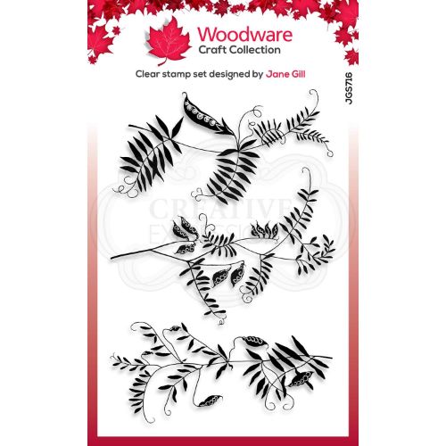 Woodware Jane Gill Wood Vetch 4 in x 6 in Clear Stamp