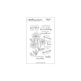 Concord & 9th - Spring Stem Stamps (4 x 6), Stencils & Dies Bundle - Postage as per Actual