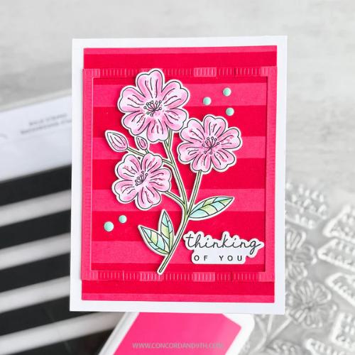 Concord & 9th - Spring Stem Stamps (4 x 6), Stencils & Dies Bundle - Postage as per Actual