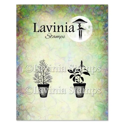 Lavinia Stamps - Dill & Sage Pots Stamp