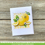 Lawn Fawn - Lawn Cuts - Fruit Tiny Tags Dies