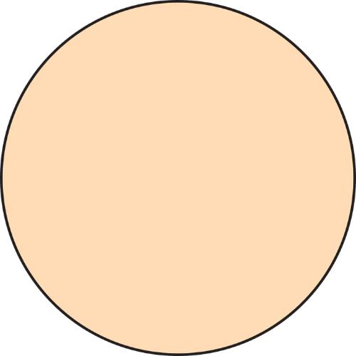 Ranger Liquid Pearls Dimensional Pearlescent Paint .5oz Bisque