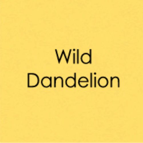 Gina K Designs Heavy Base Weight Card Stock- Wild Dandelion