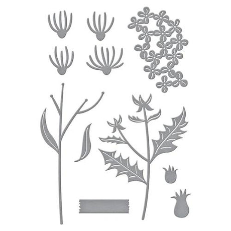 Spellbinders - Field Notes Wildflowers Etched Dies from the Field Notes Collection