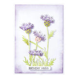 Spellbinders - Layered Wildflowers Etched Dies from the Wildflowers Collection by Lisa Horton