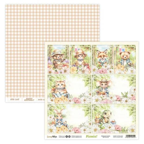 Scrap Boys Picnic! 6x6 Inch Paper Pad (SB-PICN-09)