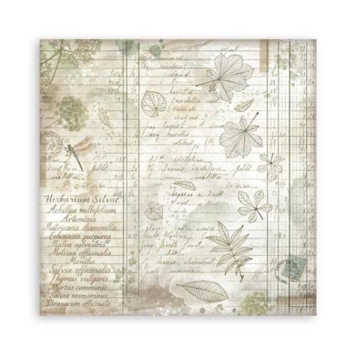 Stamperia Herbarium Silvae 8x8 Inch Maxi Paper Pack (Single Face) (SBBSXB20)