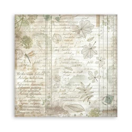 Stamperia Herbarium Silvae 8x8 Inch Maxi Paper Pack (Single Face) (SBBSXB20)