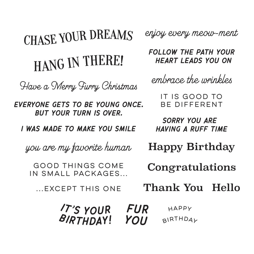 Spellbinders - Cats and Pugs Sentiments Clear Stamp Set