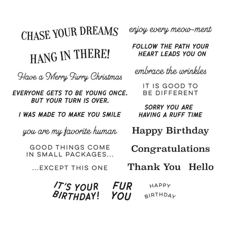 Spellbinders - Cats and Pugs Sentiments Clear Stamp Set