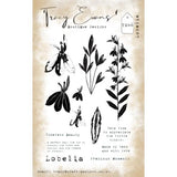 Tracy Evans Lobelia A6 Stamp (TE046)