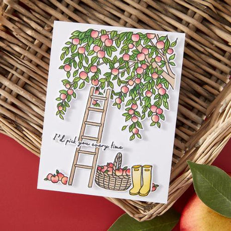 Hero Arts - In The Orchard Stamp & Cut & Stencil Bundle from the I Pick You Collection