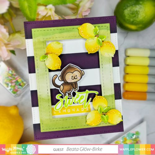 Waffle Flower - Jungle Party Combo