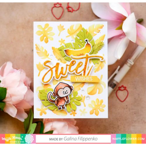 Waffle Flower - Oversized Sweet Combo
