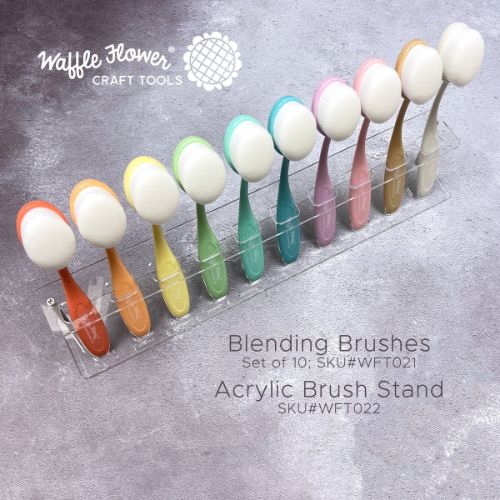 Waffle Flower - Acrylic Brush Stand - Postage as per Actual