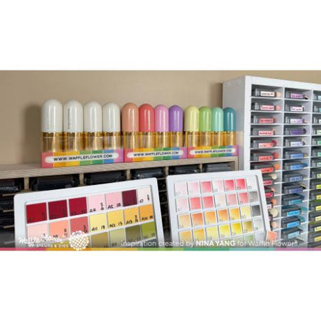 Waffle Flower - Background Blender - Cream - Postage as per Actual