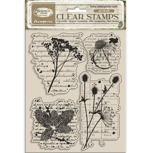 Stamperia Herbarium Silvae Clear Stamp Botanic (WTK231)
