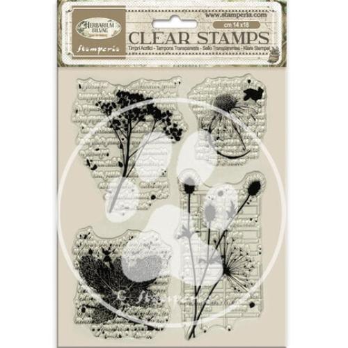 Stamperia Herbarium Silvae Clear Stamp Botanic (WTK231)